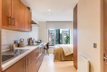 1 bed studio, Elmwood Avenue, Stranmillis, Belfast, BT96AY - Image 4